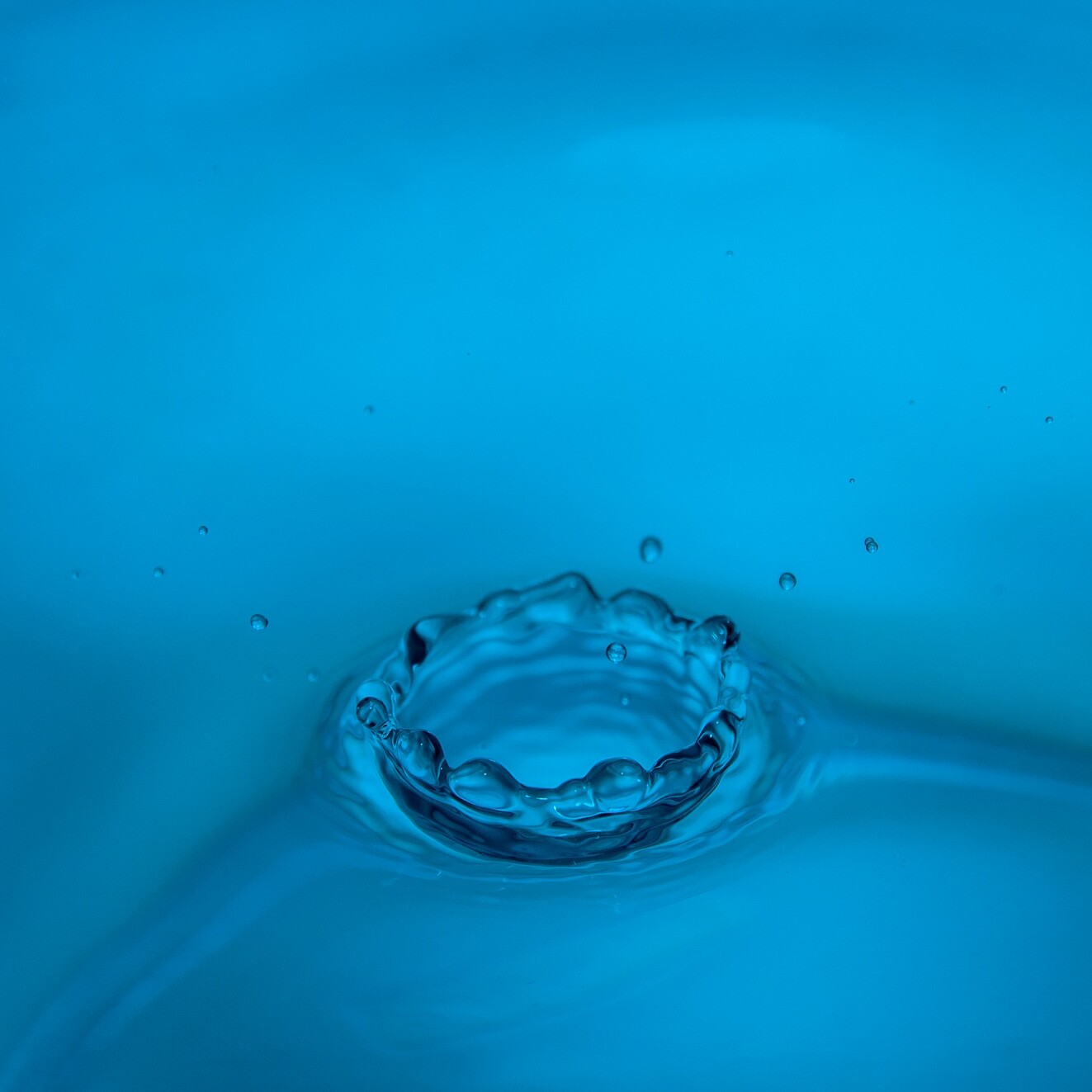 Homosassa River Restoration process