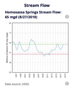 Homosassa Stream Flow spring