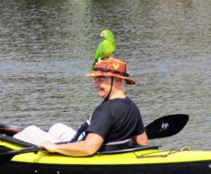man with parrot Homosassa River Restoration