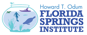 Florida Springs Institute