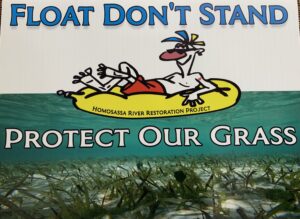 float don't stand, protect aquatic grass